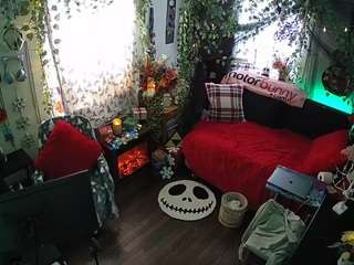 voyeurcam veccasalt 01