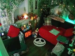 voyeurcam veccasalt 01