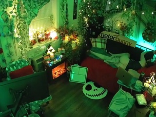 voyeurcam veccasalt 01