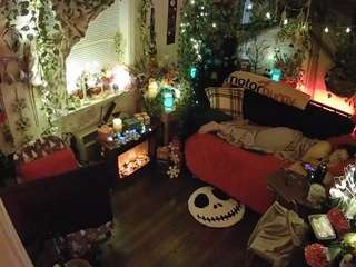 voyeurcam-veccasalt-01 chat