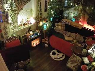 voyeurcam veccasalt 01