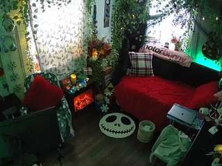 voyeurcam veccasalt 01