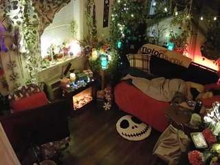 voyeurcam veccasalt 01