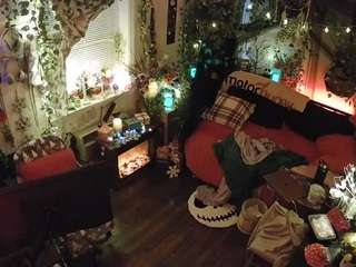 voyeurcam veccasalt 01