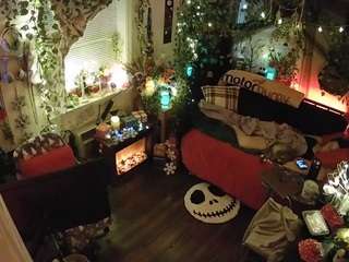 voyeurcam veccasalt 01