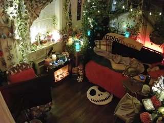 voyeurcam-veccasalt-01 chat