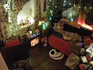 voyeurcam veccasalt 01