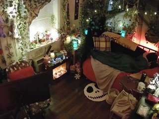 voyeurcam veccasalt 01