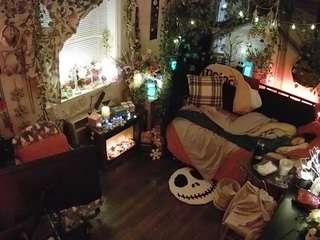 voyeurcam veccasalt 01