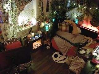 voyeurcam-veccasalt-01's CamSoda show and profile