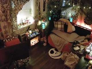 voyeurcam veccasalt 01