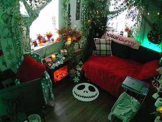 voyeurcam veccasalt 01