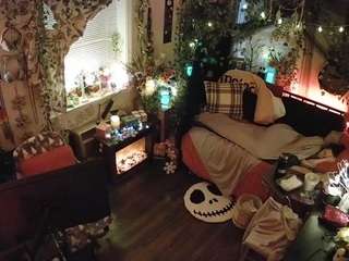 voyeurcam veccasalt 01