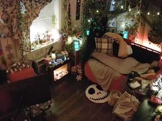 voyeurcam veccasalt 01