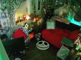 voyeurcam veccasalt 01