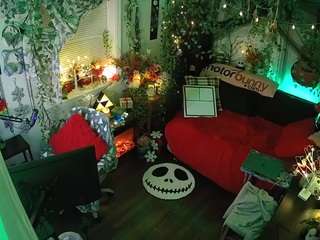 voyeurcam veccasalt 01