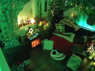 voyeurcam veccasalt 01