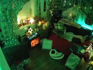 voyeurcam-veccasalt-01's CamSoda show and profile