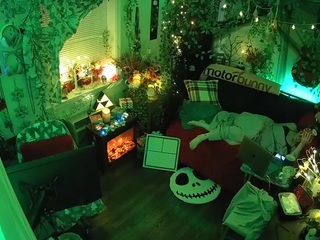 voyeurcam veccasalt 01