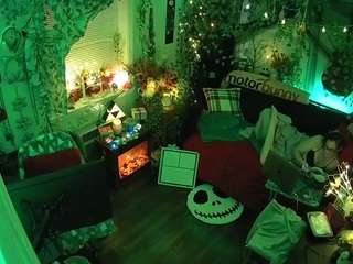 voyeurcam veccasalt 01