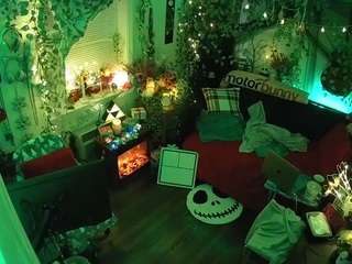 voyeurcam veccasalt 01