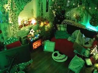 voyeurcam veccasalt 01