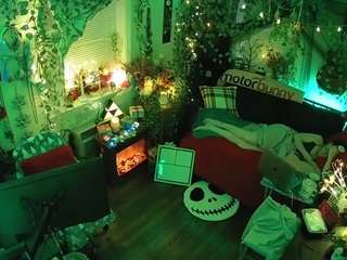 voyeurcam veccasalt 01