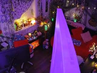 voyeurcam veccasalt 01