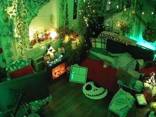 voyeurcam veccasalt 01