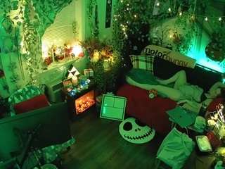 voyeurcam veccasalt 01