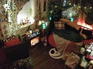 voyeurcam veccasalt 01