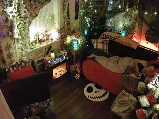 voyeurcam veccasalt 01