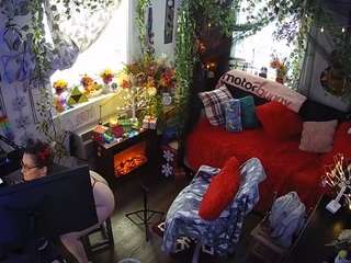 voyeurcam veccasalt 01