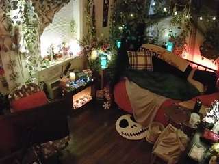 voyeurcam veccasalt 01