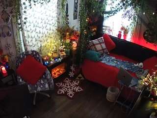 voyeurcam veccasalt 01