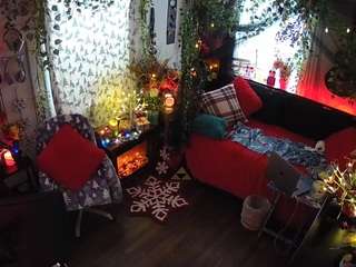 voyeurcam veccasalt 01