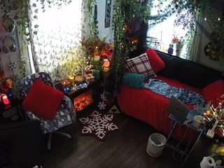 voyeurcam veccasalt 01