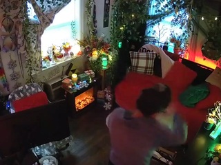 voyeurcam veccasalt 01