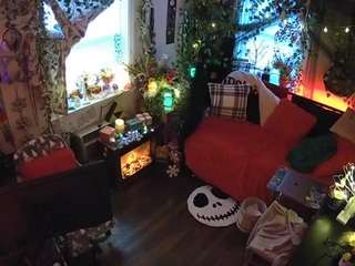 voyeurcam veccasalt 01