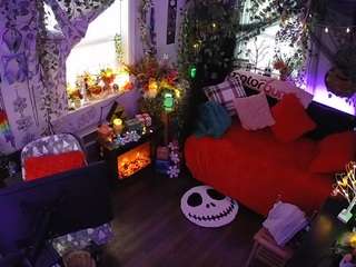 voyeurcam veccasalt 01