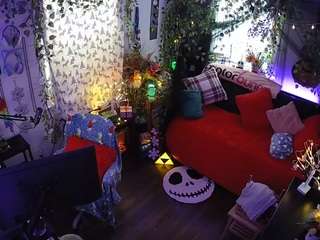 voyeurcam veccasalt 01