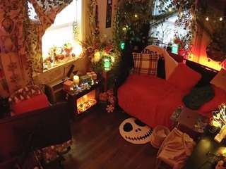 voyeurcam veccasalt 01