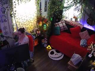 voyeurcam-veccasalt-... webcam