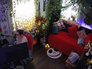 voyeurcam-veccasalt-01 chat