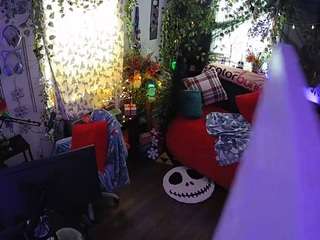 voyeurcam-veccasalt-01 chat