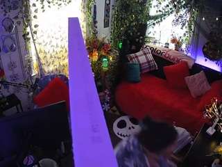 voyeurcam-veccasalt-01 chat