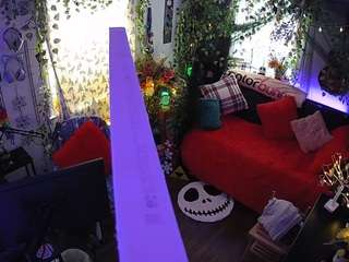 voyeurcam-veccasalt-01 chat