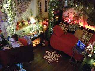 voyeurcam veccasalt 01