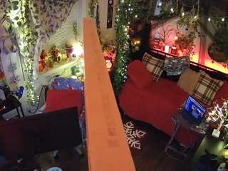 voyeurcam veccasalt 01