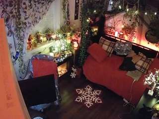 voyeurcam veccasalt 01